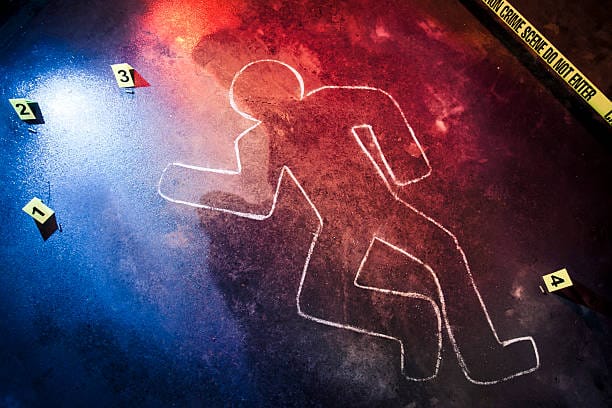 छपरा में खूनी खेल : पटना से लौटे इंजीनियर की गोली मारकर हत्या, इलाके में सनसनी