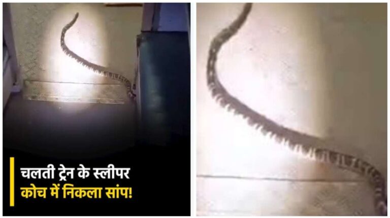 Railway में यात्री सुविधा का ऐसा हाल…! चलती Train के Sleeper Coach में सीट के नीचे से निकला ‘करैत सांप’, दहशत में आए यात्री