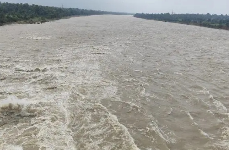 Jamshedpur Weathear: जमशेदपुर में भारी बारिश से उफनायी स्वर्णरेखा और खरकई नदी, कई इलाकों में घुसा पानी, आज से राहत की उम्मीद